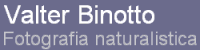 Valter Binotto - fotografia naturalistica