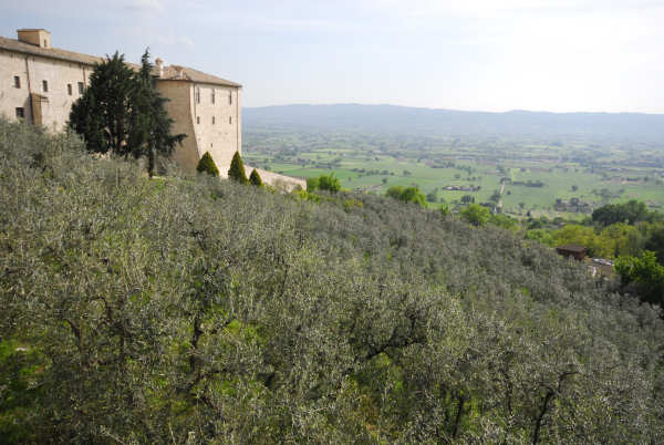 Assisi