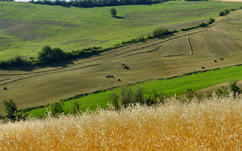 Bologna, Settefonti, Tossignano