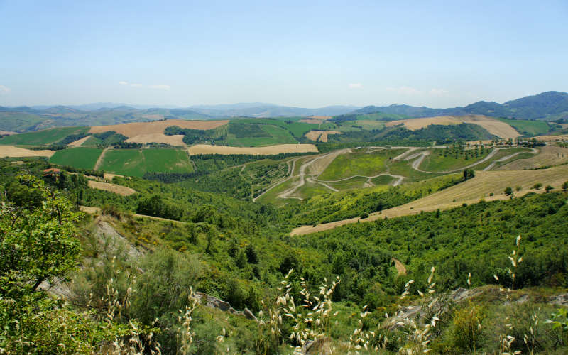 Bologna, Settefonti, Tossignano