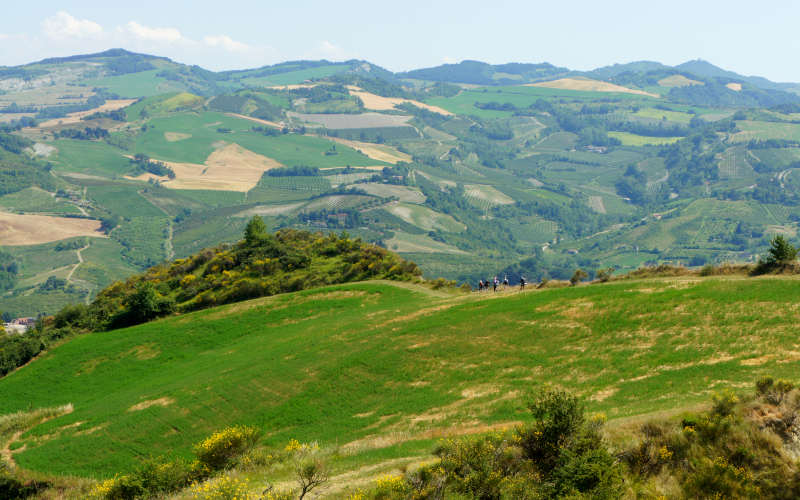 Bologna, Settefonti, Tossignano