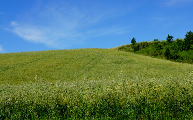 Cammino di Assisi, Dovadola