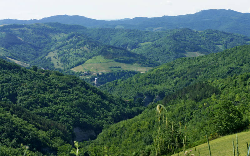 Cammino di Assisi, Dovadola