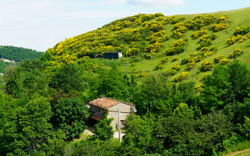 Cammino di Assisi, Dovadola