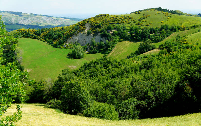 Cammino di Assisi, Dovadola