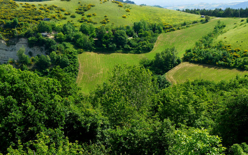 Cammino di Assisi, Dovadola