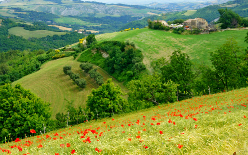 Cammino di Assisi, Dovadola