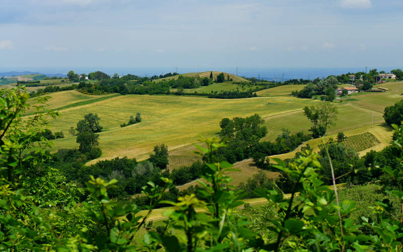 Cammino di Assisi, Dovadola