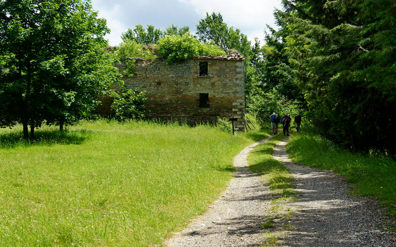 Cammino di Assisi, Dovadola
