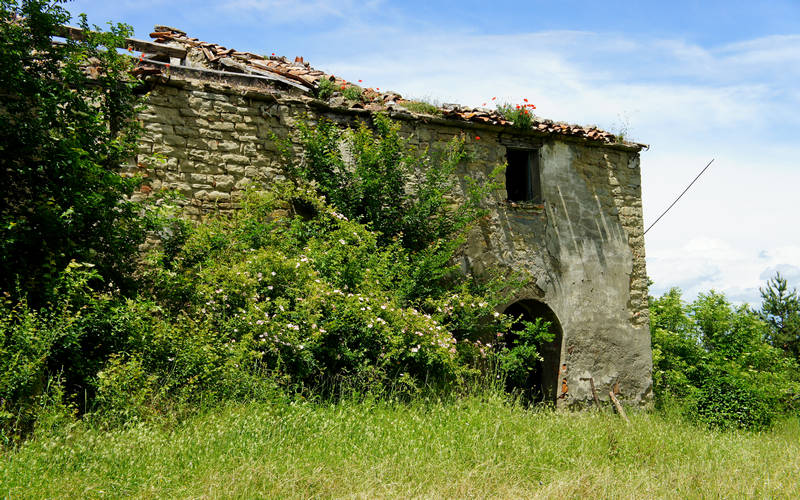 Cammino di Assisi, Dovadola