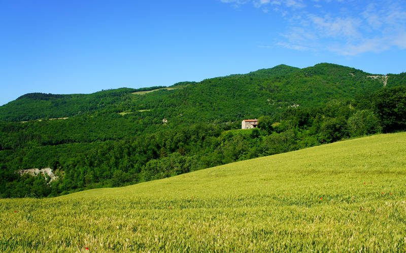 Cammino di Assisi, Monte Castello Portico San Benedetto