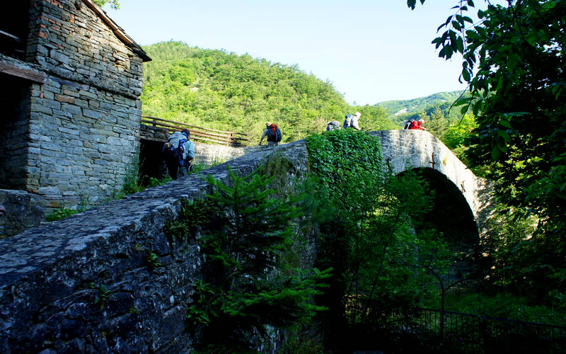 Cammino di Assisi, Premilcuore