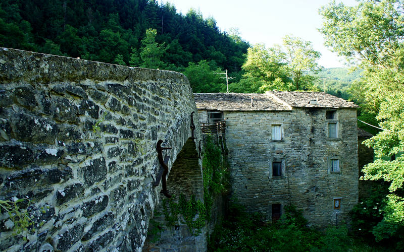 Cammino di Assisi, Premilcuore