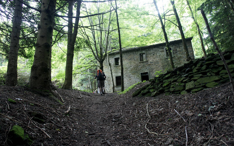 Cammino di Assisi, Parco Foreste Casentinesi