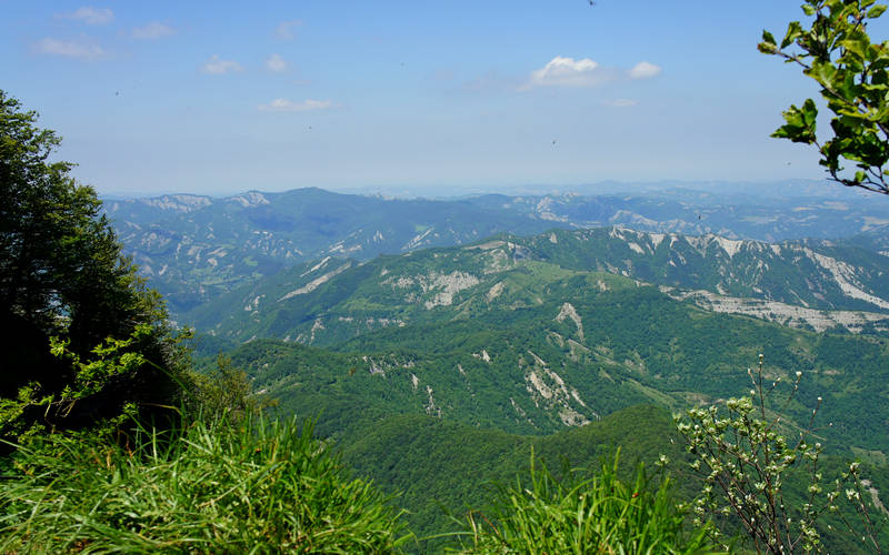 Cammino di Assisi, Parco Nazionale Foreste Casentinesi