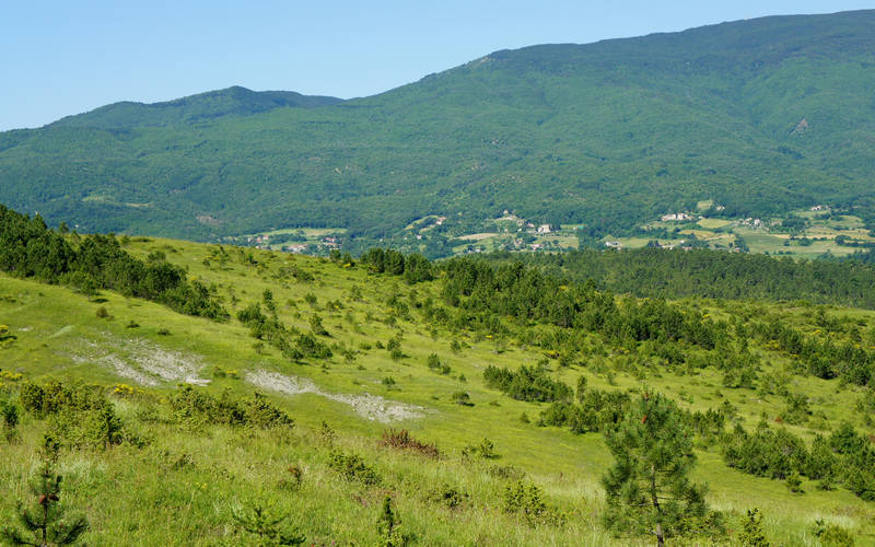 Anghiari