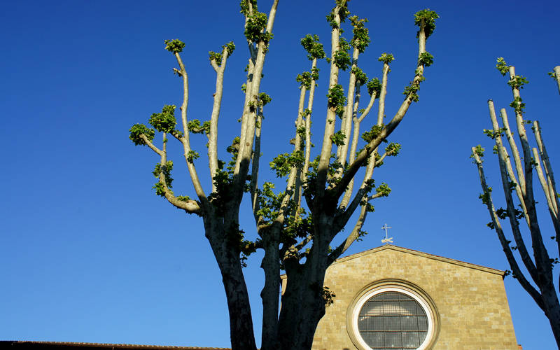 Sansepolcro