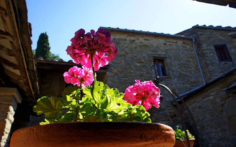 Eremo di Montecasale
