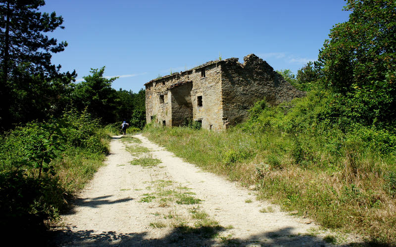 Candeggio, Città di Castello