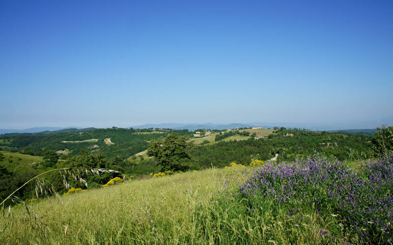 Candeggio, Città di Castello