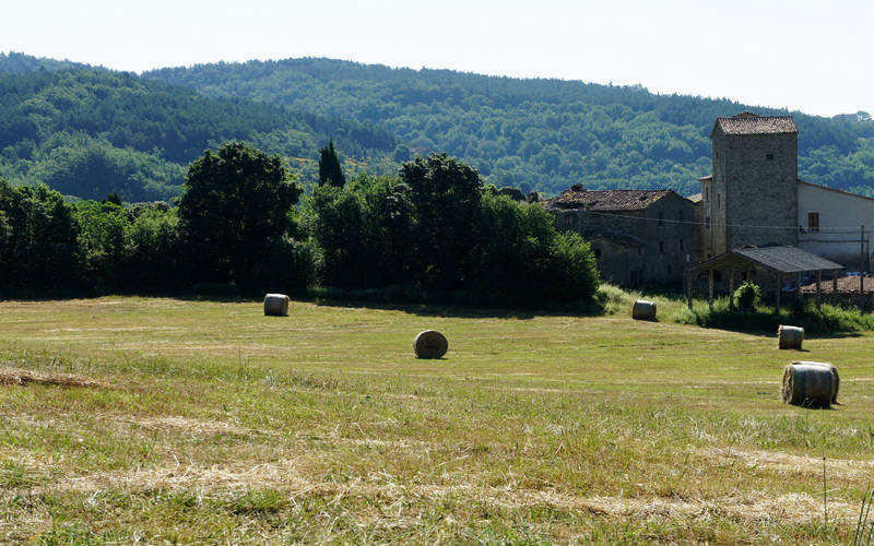 Pieve dei Saddi