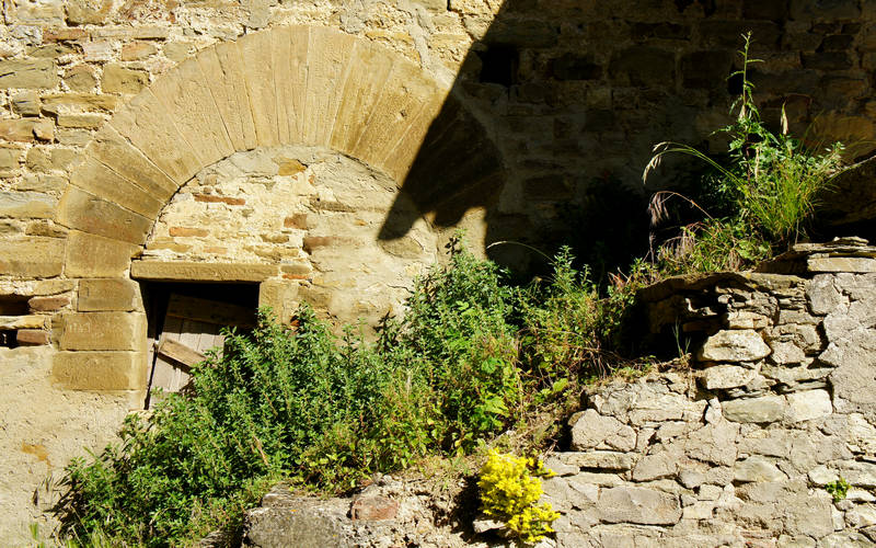 Pieve dei Saddi