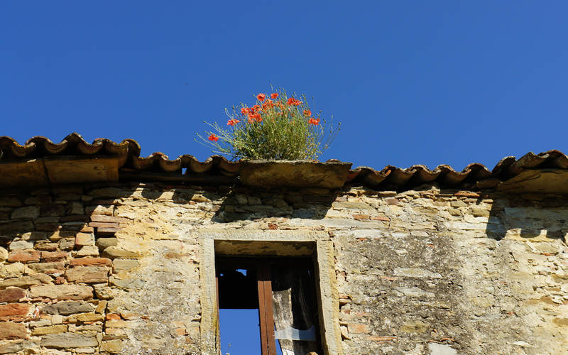 Pieve dei Saddi