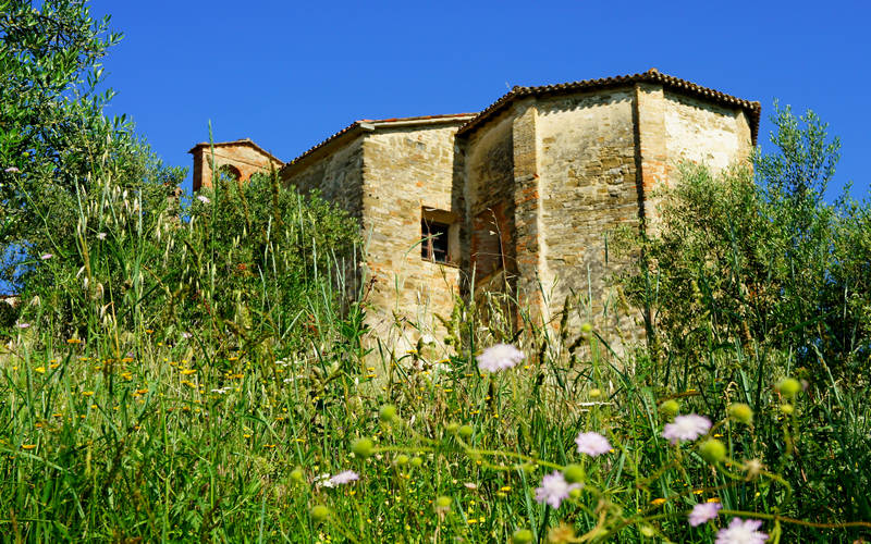 Pieve dei Saddi