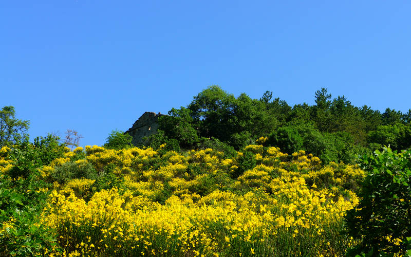 Pieve dei Saddi