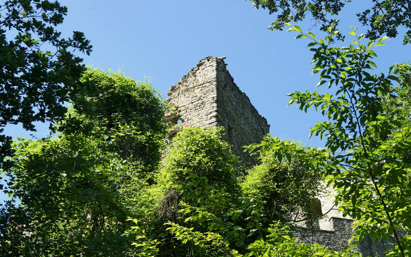 Castello della Biscina