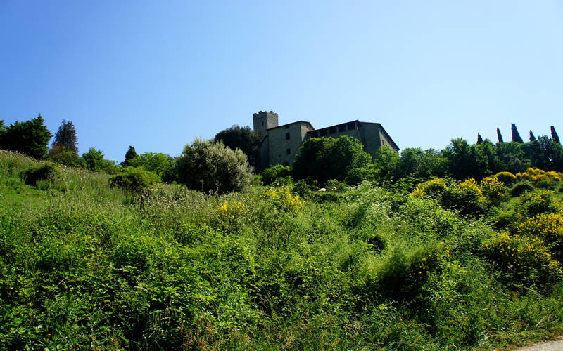 Castello della Biscina