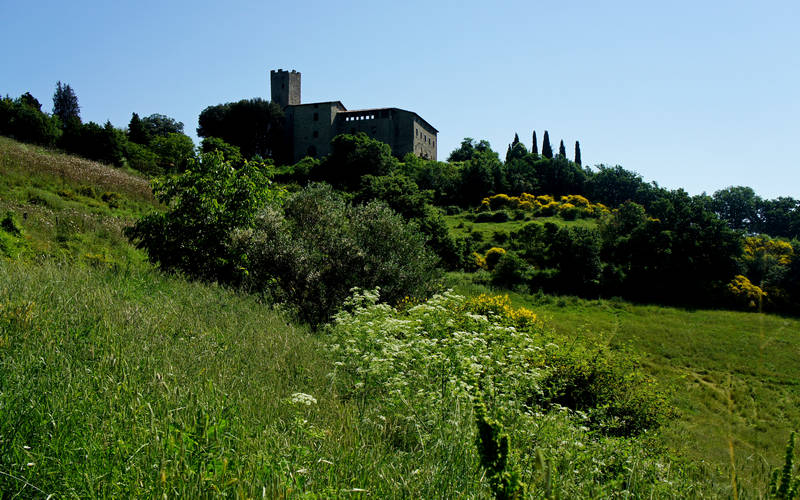 Castello della Biscina