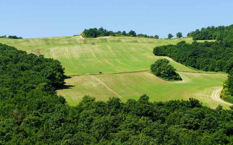Castello della Biscina