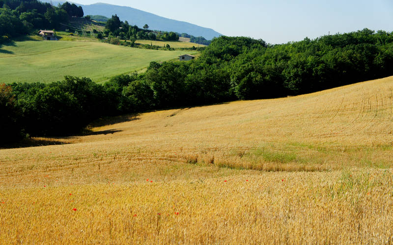 Valfabbrica