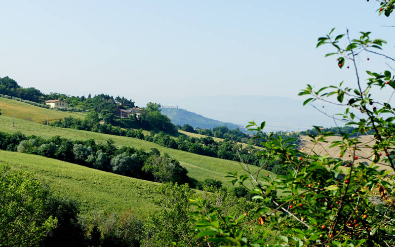 Valfabbrica