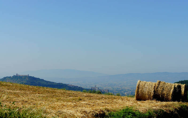 Assisi