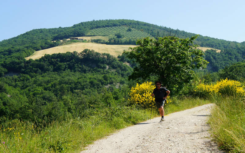 Assisi