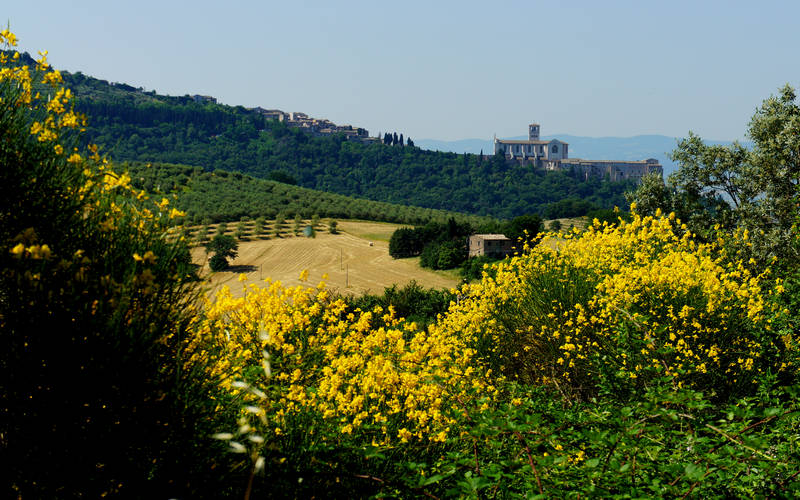 Assisi