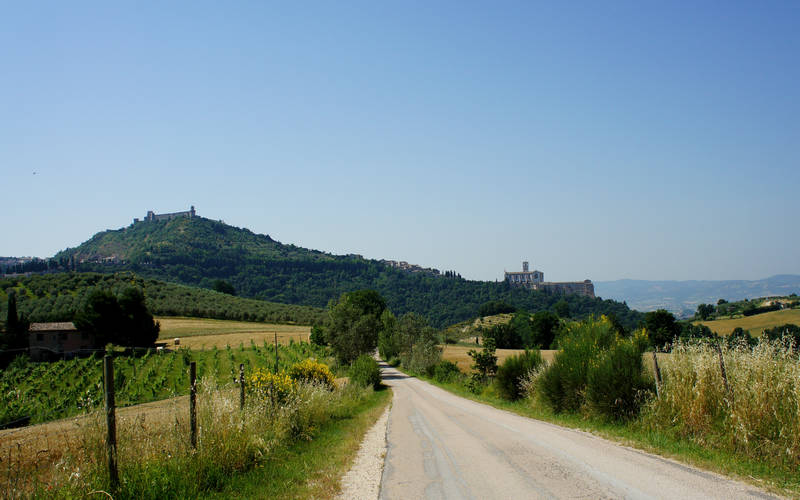 Assisi