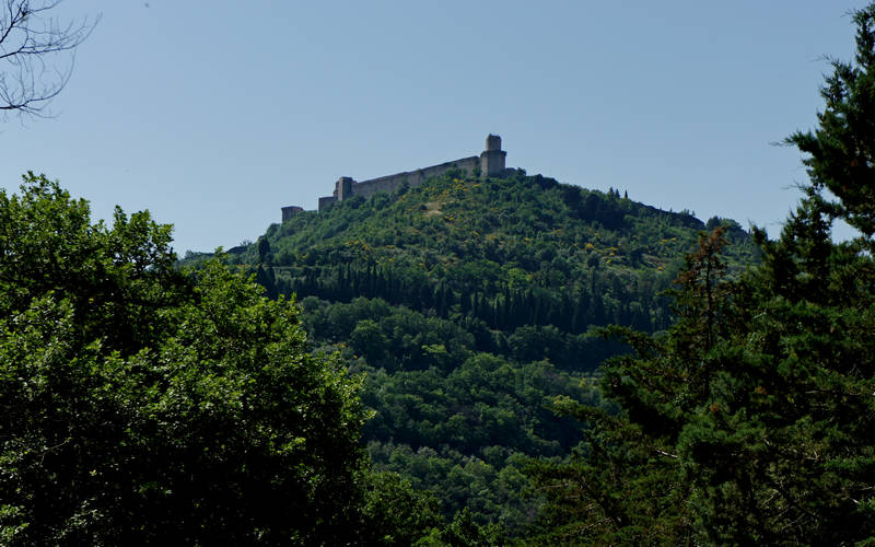 Assisi
