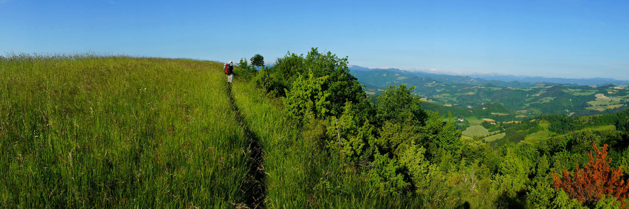 Cammino di Assisi