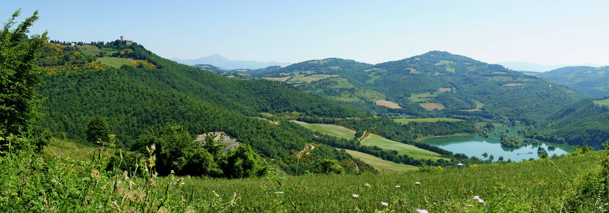 Cammino di Assisi