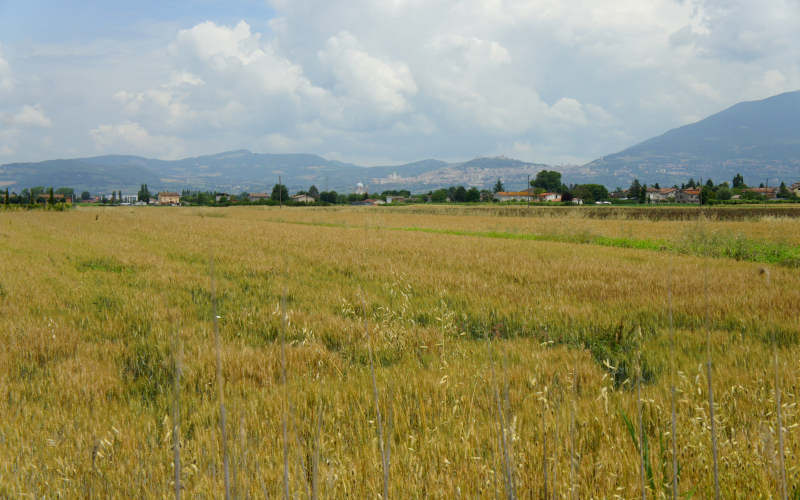 Via Amerina, Assisi-Deruta-Todi