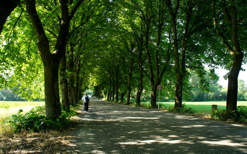 Via Amerina, Assisi-Deruta-Todi