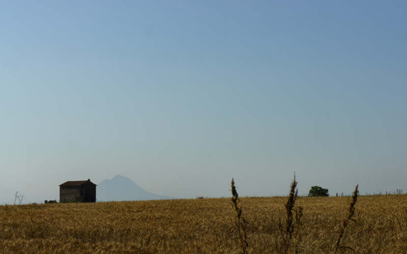 Via Amerina, Falerii Novi