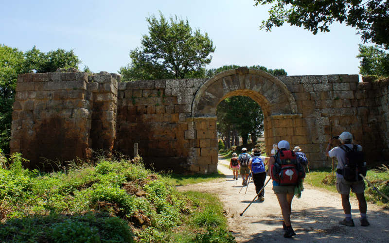 Via Amerina, Falerii Novi