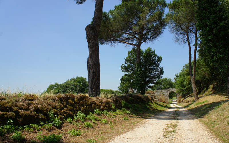 Via Amerina, Falerii Novi