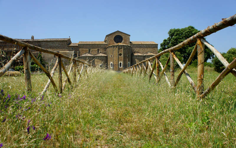 Via Amerina, Falerii Novi