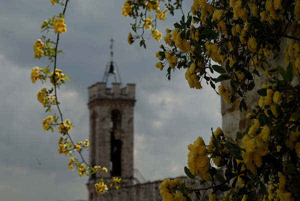 Gubbio