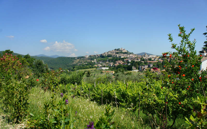 Via Amerina, Amelia